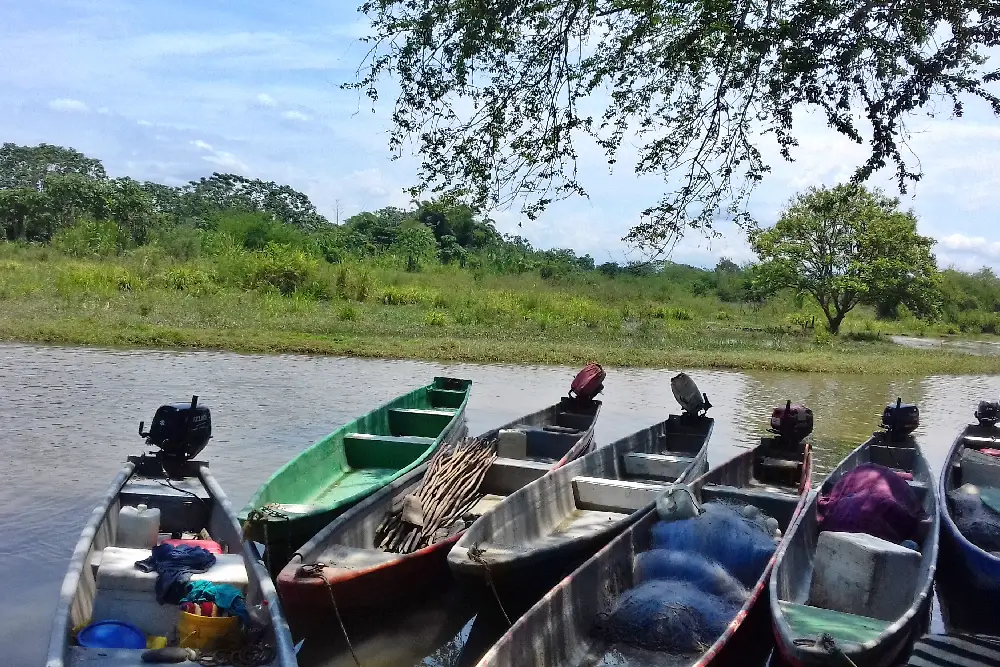 Turismo en La Dorada Caldas | Tours y Experiencias | Visit La Dorada
